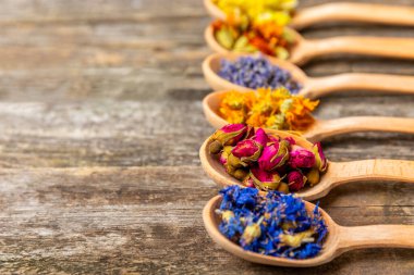 Ahşap bir zeminde ahşap kaşıklarda kurumuş bitki ve böğürtlen çayı. Şifalı şifalı bitkiler. Alternatif tıp konsepti. Linden, Calendula, Cornflowers, marigold, tansy, tea rose.