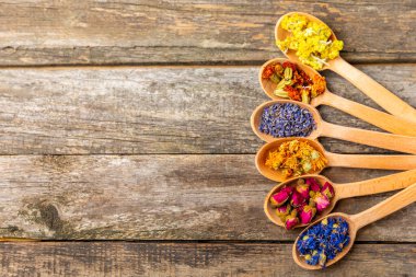 Ahşap bir zeminde ahşap kaşıklarda kurumuş bitki ve böğürtlen çayı. Şifalı şifalı bitkiler. Alternatif tıp konsepti. Linden, Calendula, Cornflowers, marigold, tansy, tea rose.