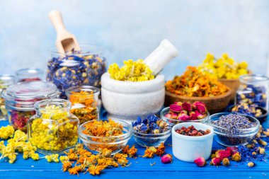 Ahşap arka planda kurumuş bitki ve böğürtlen çayı çeşitleri. Çay partisi konsepti. Şifalı bitkiler. Şifalı bitkiler. Alternatif ilaç. Linden, Calendula, Cornflowers, marigold, tansy, çay gülü..