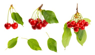 Kiraz izole edilmiş. Beyaz bir arka planda izole edilmiş taze kirazlar. Tatlı kiraz yığını. Böğürtlen ve meyve. Vejetaryen. Sağlıklı beslenme.