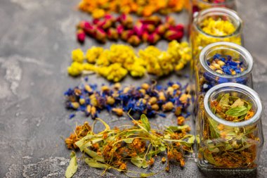 Ahşap arka planda kurumuş bitki ve böğürtlen çayı çeşitleri. Çay partisi konsepti. Şifalı bitkiler. Şifalı bitkiler. Alternatif ilaç. Linden, Calendula, Cornflowers, marigold, tansy, çay gülü..