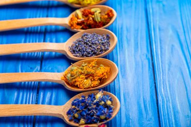 Ahşap arka planda kurumuş bitki ve böğürtlen çayı çeşitleri. Çay partisi konsepti. Şifalı bitkiler. Şifalı bitkiler. Alternatif ilaç. Linden, Calendula, Cornflowers, marigold, tansy, çay gülü..