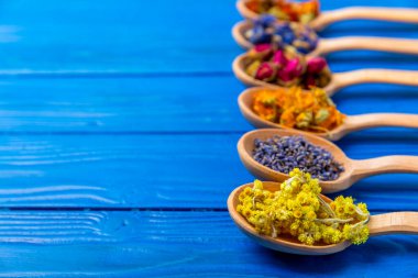 Ahşap arka planda kurumuş bitki ve böğürtlen çayı çeşitleri. Çay partisi konsepti. Şifalı bitkiler. Şifalı bitkiler. Alternatif ilaç. Linden, Calendula, Cornflowers, marigold, tansy, çay gülü..