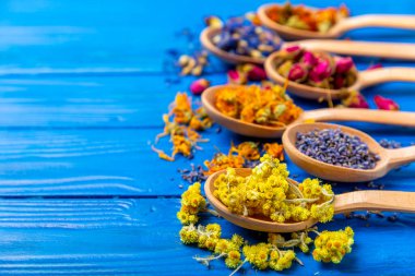 Ahşap arka planda kurumuş bitki ve böğürtlen çayı çeşitleri. Çay partisi konsepti. Şifalı bitkiler. Şifalı bitkiler. Alternatif ilaç. Linden, Calendula, Cornflowers, marigold, tansy, çay gülü..