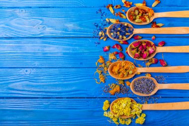 Ahşap arka planda kurumuş bitki ve böğürtlen çayı çeşitleri. Çay partisi konsepti. Şifalı bitkiler. Şifalı bitkiler. Alternatif ilaç. Linden, Calendula, Cornflowers, marigold, tansy, çay gülü..