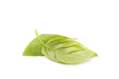 Fesleğen beyaz arkaplanda izole. Beyaz arka planda taze organik fesleğen yaprakları. Baharatlar. Vejetaryen.