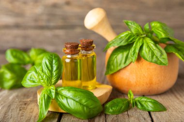 Ahşap kaplamalı fesleğen yağı. Fesleğen yağı ve taze yapraklar. Aromaterapi. Aroma yağı. Şifalı bitkiler. Alternatif tıp. Mesaj için yer. Boşluğu kopyala.