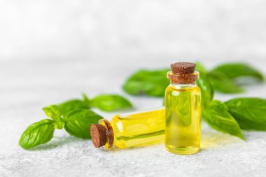 Ahşap kaplamalı fesleğen yağı. Fesleğen yağı ve taze yapraklar. Aromaterapi. Aroma yağı. Şifalı bitkiler. Alternatif tıp. Mesaj için yer. Boşluğu kopyala.