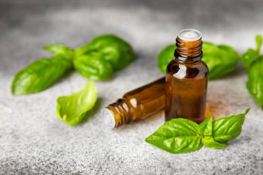 Ahşap kaplamalı fesleğen yağı. Fesleğen yağı ve taze yapraklar. Aromaterapi. Aroma yağı. Şifalı bitkiler. Alternatif tıp. Mesaj için yer. Boşluğu kopyala.