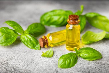 Ahşap kaplamalı fesleğen yağı. Fesleğen yağı ve taze yapraklar. Aromaterapi. Aroma yağı. Şifalı bitkiler. Alternatif tıp. Mesaj için yer. Boşluğu kopyala.