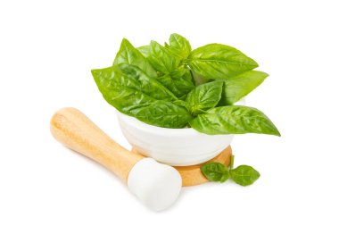 Beyaz arka planda izole edilmiş havanda taze yeşil fesleğen. Organik baharatlar ve bitkiler. Vejetaryen. Taze mutfak bitkileri. Taze fesleğen, havan ve tokmakla pesto haline getiriliyor..