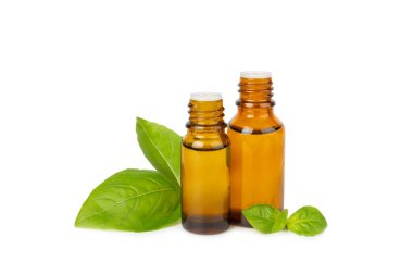 Fesleğen yağı beyaz arka planda izole edilmiş. Fesleğen yağı ve taze yapraklar. Aromaterapi. Aroma yağı. Şifalı bitkiler. Alternatif tıp. Mesaj için yer. Boşluğu kopyala.