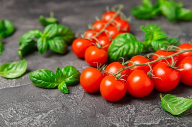 Taze vişneli domates ve dokulu taze yeşil fesleğen. Domates sosu. Vejetaryen. Salata için malzemeler. Organik yiyecekler. Mesaj için yer. Boşluğu kopyala.