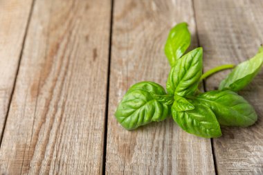 Ahşap kaplamalı yeşil fesleğen yaprakları. Mutfak otları, baharatlar. Taze yeşil organik fesleğen. Vejetaryen. Salata için yeşillik. Mesaj için yer. Boşluğu kopyala.