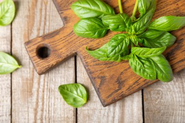 Ahşap kaplamalı yeşil fesleğen yaprakları. Mutfak otları, baharatlar. Taze yeşil organik fesleğen. Vejetaryen. Salata için yeşillik. Mesaj için yer. Boşluğu kopyala.