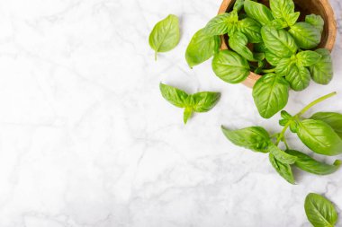 Ahşap kaplamalı yeşil fesleğen yaprakları. Mutfak otları, baharatlar. Taze yeşil organik fesleğen. Vejetaryen. Salata için yeşillik. Mesaj için yer. Boşluğu kopyala.