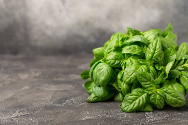 Ahşap kaplamalı yeşil fesleğen yaprakları. Mutfak otları, baharatlar. Taze yeşil organik fesleğen. Vejetaryen. Salata için yeşillik. Mesaj için yer. Boşluğu kopyala.