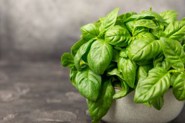 Ahşap kaplamalı yeşil fesleğen yaprakları. Mutfak otları, baharatlar. Taze yeşil organik fesleğen. Vejetaryen. Salata için yeşillik. Mesaj için yer. Boşluğu kopyala.