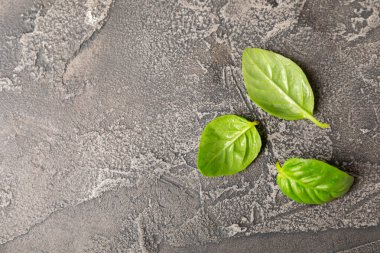 Ahşap kaplamalı yeşil fesleğen yaprakları. Mutfak otları, baharatlar. Taze yeşil organik fesleğen. Vejetaryen. Salata için yeşillik. Mesaj için yer. Boşluğu kopyala.