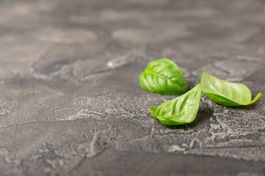 Ahşap kaplamalı yeşil fesleğen yaprakları. Mutfak otları, baharatlar. Taze yeşil organik fesleğen. Vejetaryen. Salata için yeşillik. Mesaj için yer. Boşluğu kopyala.