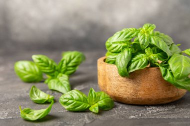 Ahşap kaplamalı yeşil fesleğen yaprakları. Mutfak otları, baharatlar. Taze yeşil organik fesleğen. Vejetaryen. Salata için yeşillik. Mesaj için yer. Boşluğu kopyala.