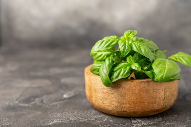 Ahşap kaplamalı yeşil fesleğen yaprakları. Mutfak otları, baharatlar. Taze yeşil organik fesleğen. Vejetaryen. Salata için yeşillik. Mesaj için yer. Boşluğu kopyala.