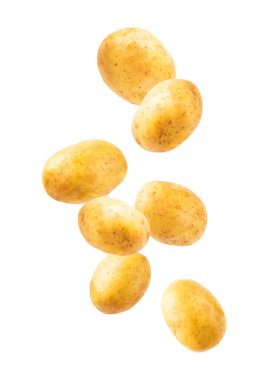 Genç patatesler Beyaz arka planda izole edilmiş çiğ patates. Patates soy. Toplama. organik, taze kazılmış patatesler. Tarım geçmişi. Vejetaryen. Sebzeler. Patates dilimleri..