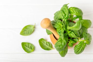 Ahşap kaplamalı havanda taze yeşil fesleğen. Organik baharatlar ve bitkiler. Vejetaryen. Taze mutfak bitkileri. Fesleğen taze fesleğen havan ve kabuklu pesto 'ya dönüştürülüyor. Boşluğu kopyala. Metin için yer