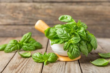 Ahşap kaplamalı havanda taze yeşil fesleğen. Organik baharatlar ve bitkiler. Vejetaryen. Taze mutfak bitkileri. Fesleğen taze fesleğen havan ve kabuklu pesto 'ya dönüştürülüyor. Boşluğu kopyala. Metin için yer