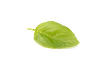 Fesleğen beyaz arkaplanda izole. Beyaz arka planda taze organik fesleğen yaprakları. Baharatlar. Vejetaryen.