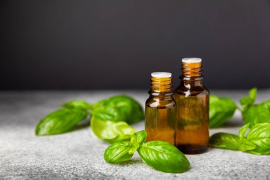 Ahşap kaplamalı fesleğen yağı. Fesleğen yağı ve taze yapraklar. Aromaterapi. Aroma yağı. Şifalı bitkiler. Alternatif tıp. Mesaj için yer. Boşluğu kopyala.