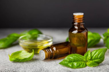 Ahşap kaplamalı fesleğen yağı. Fesleğen yağı ve taze yapraklar. Aromaterapi. Aroma yağı. Şifalı bitkiler. Alternatif tıp. Mesaj için yer. Boşluğu kopyala.