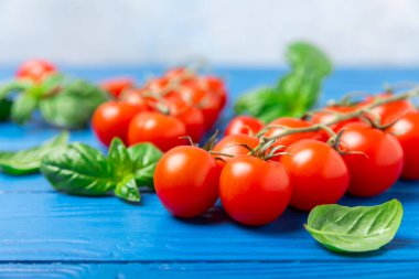 Taze vişneli domates ve dokulu taze yeşil fesleğen. Domates sosu. Vejetaryen. Salata için malzemeler. Organik yiyecekler. Mesaj için yer. Boşluğu kopyala.