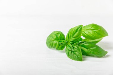 Ahşap kaplamalı yeşil fesleğen yaprakları. Mutfak otları, baharatlar. Taze yeşil organik fesleğen. Vejetaryen. Salata için yeşillik. Mesaj için yer. Boşluğu kopyala.