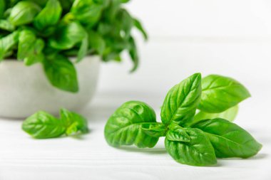 Ahşap kaplamalı yeşil fesleğen yaprakları. Mutfak otları, baharatlar. Taze yeşil organik fesleğen. Vejetaryen. Salata için yeşillik. Mesaj için yer. Boşluğu kopyala.