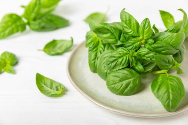 Ahşap kaplamalı yeşil fesleğen yaprakları. Mutfak otları, baharatlar. Taze yeşil organik fesleğen. Vejetaryen. Salata için yeşillik. Mesaj için yer. Boşluğu kopyala.