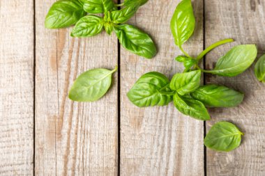 Ahşap kaplamalı yeşil fesleğen yaprakları. Mutfak otları, baharatlar. Taze yeşil organik fesleğen. Vejetaryen. Salata için yeşillik. Mesaj için yer. Boşluğu kopyala.