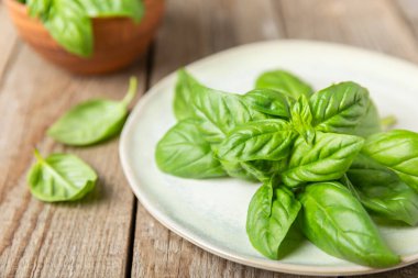 Ahşap kaplamalı yeşil fesleğen yaprakları. Mutfak otları, baharatlar. Taze yeşil organik fesleğen. Vejetaryen. Salata için yeşillik. Mesaj için yer. Boşluğu kopyala.