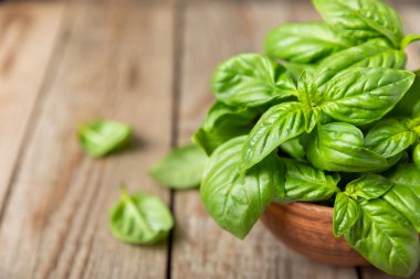 Ahşap kaplamalı yeşil fesleğen yaprakları. Mutfak otları, baharatlar. Taze yeşil organik fesleğen. Vejetaryen. Salata için yeşillik. Mesaj için yer. Boşluğu kopyala.