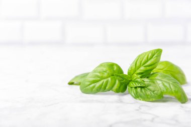 Ahşap kaplamalı yeşil fesleğen yaprakları. Mutfak otları, baharatlar. Taze yeşil organik fesleğen. Vejetaryen. Salata için yeşillik. Mesaj için yer. Boşluğu kopyala.