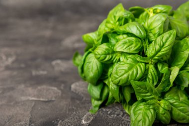 Ahşap kaplamalı yeşil fesleğen yaprakları. Mutfak otları, baharatlar. Taze yeşil organik fesleğen. Vejetaryen. Salata için yeşillik. Mesaj için yer. Boşluğu kopyala.