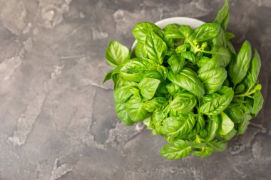Ahşap kaplamalı yeşil fesleğen yaprakları. Mutfak otları, baharatlar. Taze yeşil organik fesleğen. Vejetaryen. Salata için yeşillik. Mesaj için yer. Boşluğu kopyala.