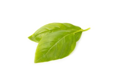 Fesleğen beyaz arkaplanda izole. Beyaz arka planda taze organik fesleğen yaprakları. Baharatlar. Vejetaryen.