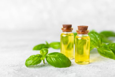 Ahşap kaplamalı fesleğen yağı. Fesleğen yağı ve taze yapraklar. Aromaterapi. Aroma yağı. Şifalı bitkiler. Alternatif tıp. Mesaj için yer. Boşluğu kopyala.