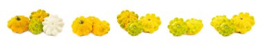 Beyaz arka planda Pattypan kabağı izole edilmiş. Kabak. Arka planda taze organik pattypan kabakları. Vejetaryen. Çiftçi Pazarı. Patisson..