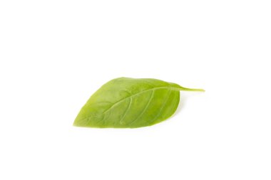 Fesleğen beyaz arkaplanda izole. Beyaz arka planda taze organik fesleğen yaprakları. Baharatlar. Vejetaryen.