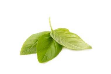 Fesleğen beyaz arkaplanda izole. Beyaz arka planda taze organik fesleğen yaprakları. Baharatlar. Vejetaryen.