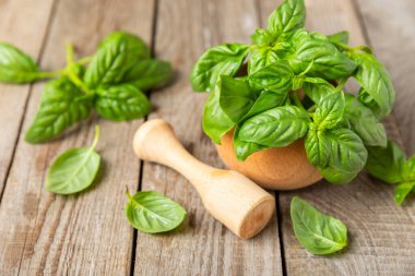 Ahşap kaplamalı havanda taze yeşil fesleğen. Organik baharatlar ve bitkiler. Vejetaryen. Taze mutfak bitkileri. Fesleğen taze fesleğen havan ve kabuklu pesto 'ya dönüştürülüyor. Boşluğu kopyala. Metin için yer