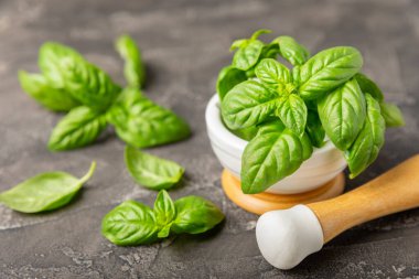 Ahşap kaplamalı havanda taze yeşil fesleğen. Organik baharatlar ve bitkiler. Vejetaryen. Taze mutfak bitkileri. Fesleğen taze fesleğen havan ve kabuklu pesto 'ya dönüştürülüyor. Boşluğu kopyala. Metin için yer