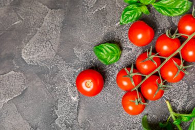 Taze vişneli domates ve dokulu taze yeşil fesleğen. Domates sosu. Vejetaryen. Salata için malzemeler. Organik yiyecekler. Mesaj için yer. Boşluğu kopyala.